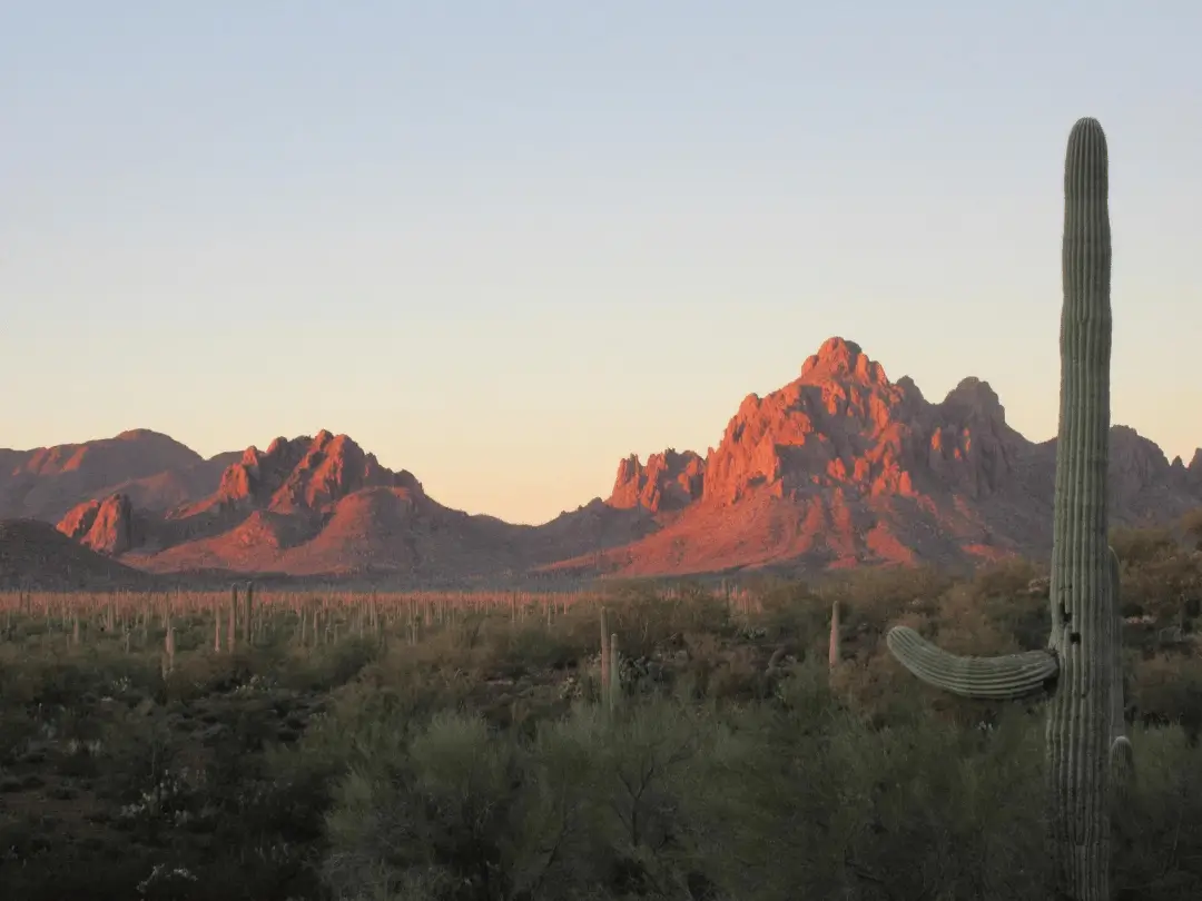 Local Opinion- Ironwood Forest must be protected