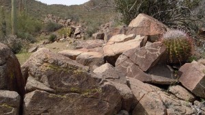 Petroglyphs of three Big Horn Sheep tell the story of people who lived on the Monument long ago.