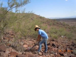 U of A student helps remove buffelgrass from the steep, rocky slopes of El Cerrito Represso on National Public Lands Day 2011.