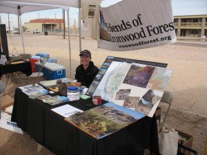 Lahsha Brown, Executive Director of the Friends, providing information about the Ironwood Forest at the 10th Anniversary of the Sonoran Desert National Monument.