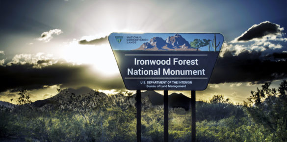 Donate to the Friends of Ironwood Forest - The Public Working Together with BLM to Protect Ironwood Forest National Monument, A National Conservation Public Land North of Tucson Arizona