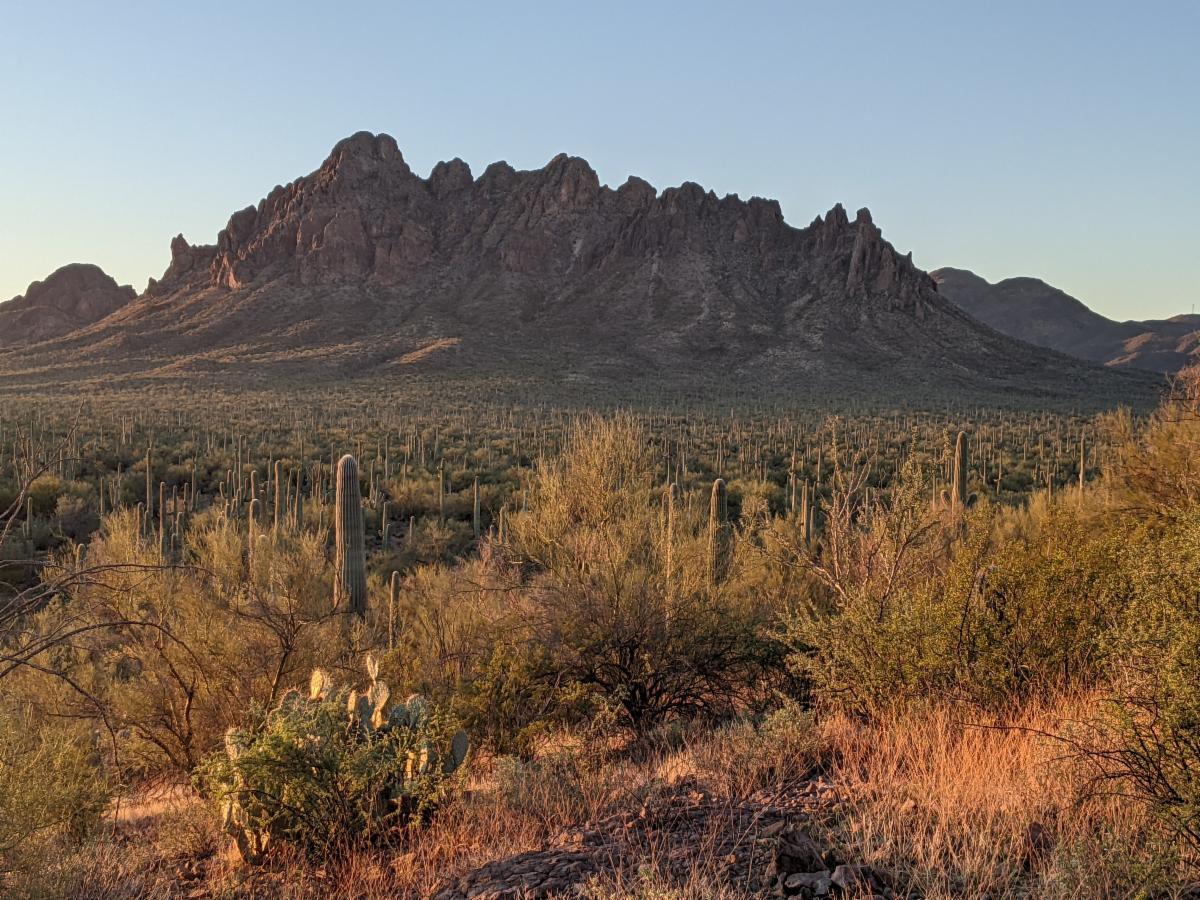 Friends of Ironwood Forest Respond to Potential Threats Against the Monument